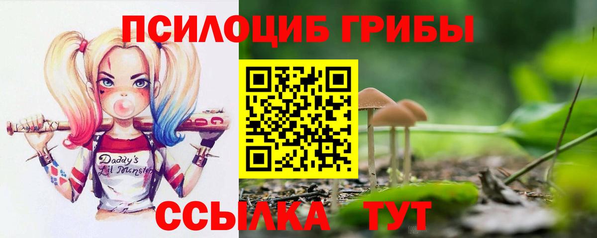 Псилоцибиновые грибы прущие грибы  Вход с VPN  Михайловск 